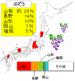 量 ぶどう ランキング 生産