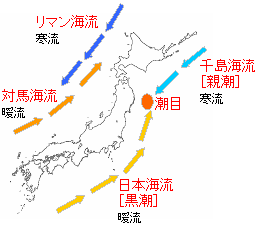 日本 の 周り の 海流